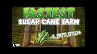 How To Make An Auto-Sugarcane Farm In Minecraft (Very Easy) All Versions 64/day | A DetailedTutorial