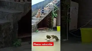 #funny