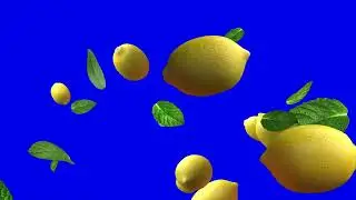 Lemon & Mint Flying 3D Animation Blue screen 