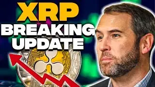 XRP 10$ Soon? Massive WHALE Accumulation!