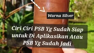 Ciri ciri PSB Yang sudah jadi dan siap di aplikasikan