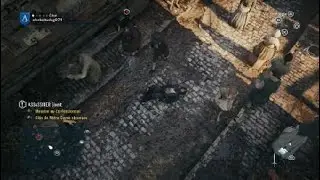 Bug Asassin´s creed unity