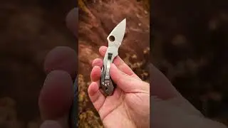 Dragonfly™ Stainless   