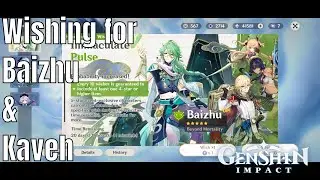 Genshin Impact: Wishing for Baizhu & Kaveh