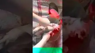 Узбагойся