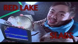 My Brother & Me Went for Red Lake CRAPPIES! 