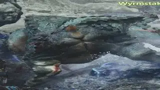 Monster Hunter is getting Wild