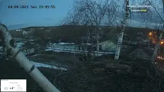 Поздний  гость на гнезде вместо аиста