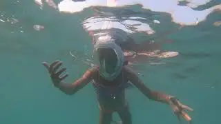 Дельфин 101 уровень и дельфин 102 уровень.