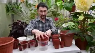 Горшки для цветов