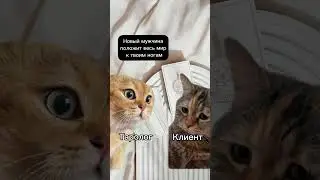 Таролог и клиент. 2 кота разговаривают. мем.