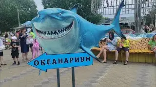 Дельфинарий и океанариум