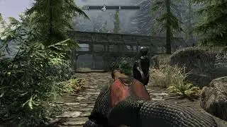 Skyrim-Blunderbuss(Crossbow)