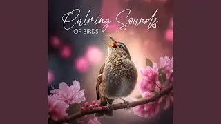 Exotic Bird Sounds