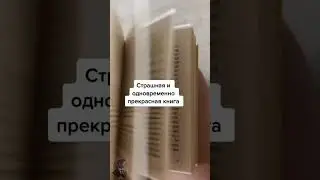 Самая популярная книга в мире 📚