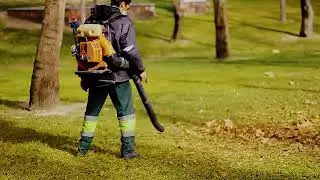 Canon 7D 50mm 1.8  Slowmotion Video Test 60fps twixtor