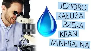 Życie w kropli wody