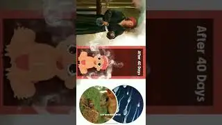 Actolife Artificial baby || lot'sofscience