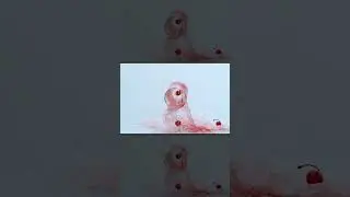 Dropping Drinks at 1000 fps