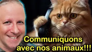 COMMUNIQUONS avec nos ANIMAUX - Laila DEL MONTE