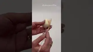 Rose made of wafer paper by Yefremova Tetyana