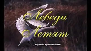 караоке Лебеди летят
