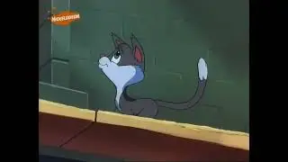 Animaniacs - I'm Nobody's Mama (DUTCH, NICKELODEON)