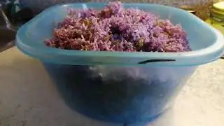 Настойка для больных суставов и мышц. Лекарство от природы.