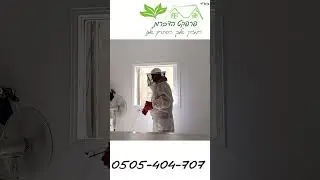 צרעות