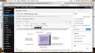 Wordpress Blog Posts - How to Easily Create & Amend