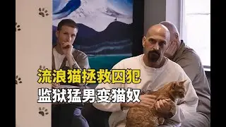 當囚犯遇上流浪貓，猛男瞬間變成小蘿莉，彼此的人生被徹底改變