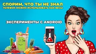 Делаем весы своими руками
