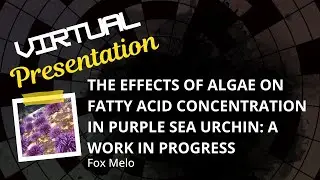 The Effects of Algae On Fatty Acid Concentration in Purple Sea Urchin: A Work in Progress