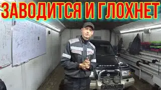 Suzuki ЗАВОДИТСЯ И ГЛОХНЕТ.