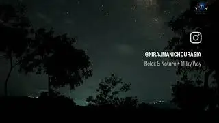 Milky Way Galaxy in the Tea Garden