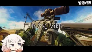 SR-3M 亜音速弾x倍率スコープを使ってみました。【ONE実況】【タルコフ】【EFT】