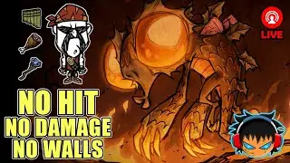 (LIVE) DRAGONFLY NO HIT - NO DAMAGE - NO WALLS  - NO MODS - WOLFGANG HARDCORE WORLD