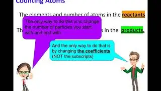TAHN Equations Conservation Counting Atoms