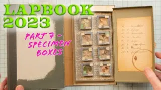 LapBook 2023 | Part 7 | Specimen Boxes