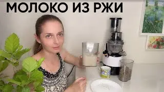 Отжимаю молочко из ржи. Соковыжималка RAWMID Greenery.