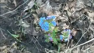 Болото