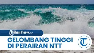 Cuaca Maritim Minggu 3 November 2024, BMKG:Waspada Gelombang Tinggi di Samudera Selatan NTT,Bali,NTB