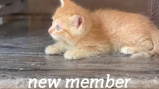 new members