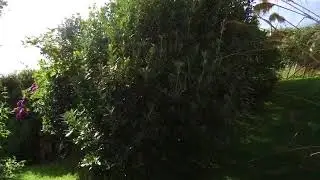 Leathad Ard Open Gardens Charity