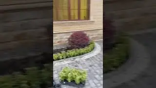 WhatsApp Video 2021 10 15 at 3 38 24 PM