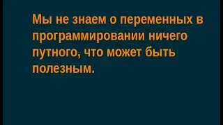 Мы не знаем о переменных в программировании ничего путного, что может быть полезным.
