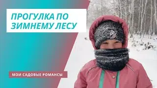 Мои садовые романсы.Прогулка по зимнему лесу.
