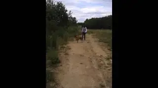 20120617 174635