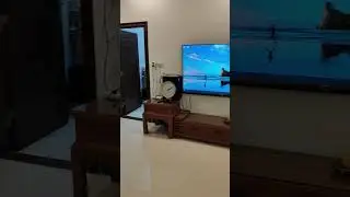 My Computer Guys（我就是电脑组装上瘾了...）