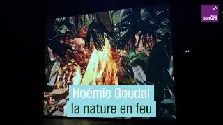 Noémie Goudal, la nature en flammes